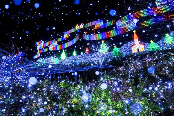 【新宿発】初物「いちご狩り」栃木ブランド品種が30分食べ放題!!光り輝く「あしかがフラワーパーク」イルミネーション&おかしパークで「みかもの月」詰め放題も満喫★ 日帰りバスツアー2